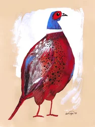 Bold Red Pheasant