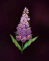 Elegant Purple Foxglove