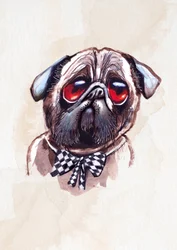Melancholy Pug