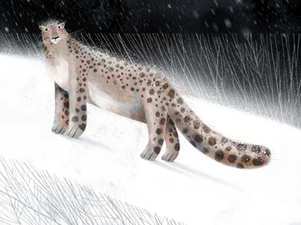 Snow Leopard Winter Night