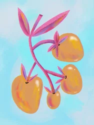 Vibrant Botanical Fruits