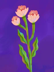 Vibrant Floral Trio