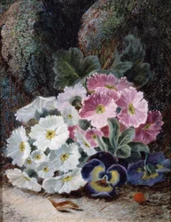 Still Life with Primroses and Pansies by Oliver Clare (c. 1853-1927) Private Collection