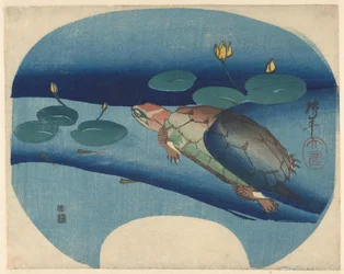 Fan print with turtle swimming among water lilies