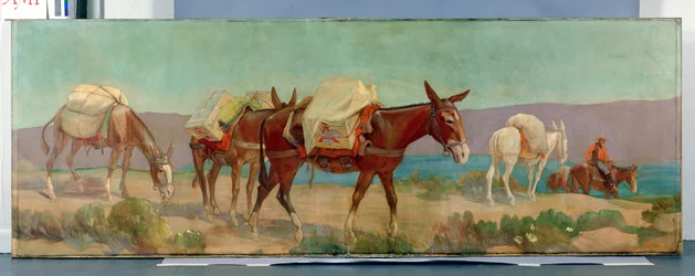 Anheuser-Busch Pack Mules