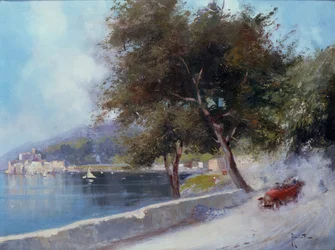Racing on the Lake