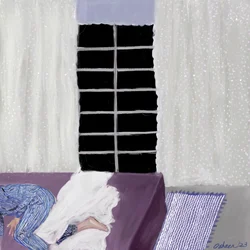 Cozy Window Sleep