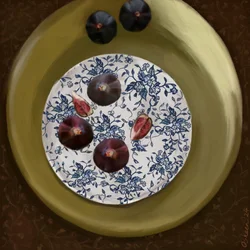 Fresh Figs Still Life
