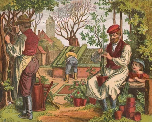 Gardening
