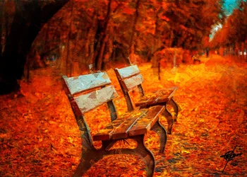 Quiet Autumn Benches