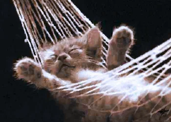 Sleeping Hammock Kitten