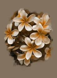 Tropical Plumeria Blooms
