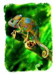 Vibrant Jungle Chameleon