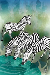 Zebras At The Watering Hole