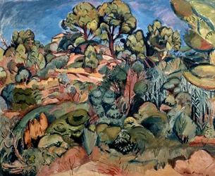 Trees in Cassis