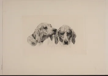 Two Dog Heads