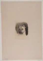 A Dog