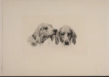 Two Dog Heads