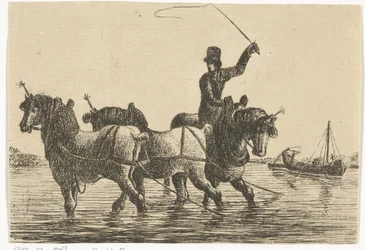Three Draft Horses in the Water