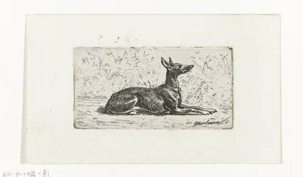 Lying Greyhound