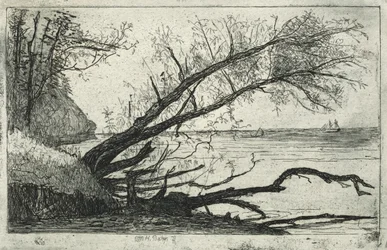 Lake Shore, Cleveland