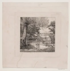 Willow Trees by a Stream