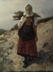 Firewood Gathered