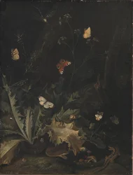 A Forest Floor with a Thistle, a Snake, a Lizard and Butterflies