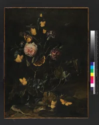 Flowers, Insects and Reptiles
