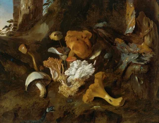 Forest Floor Still-life with Mushrooms, Butterflies and a Snake