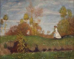 Summer in the Moor