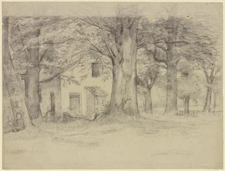 House behind Trees