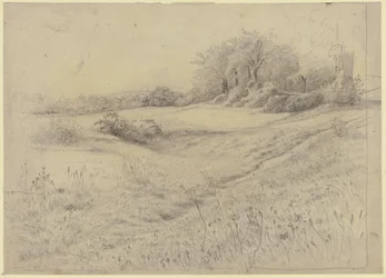 Forest Landscape near Kronberg