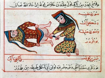 Operation of a hermaphrodite