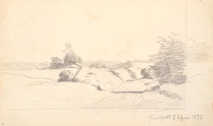 A field road with some bushes in the foreground. In the background a forest edge