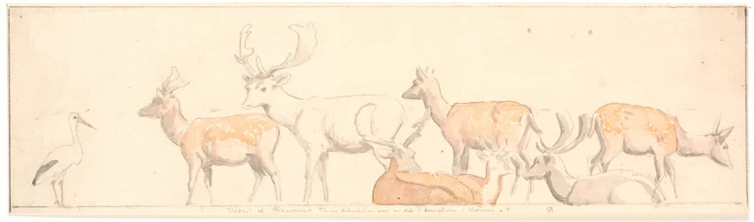 A Herd of Deer and a Stork