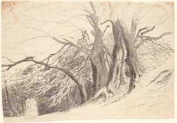 A Slope with Large Trees in a Forest, with Two Walking Ladies