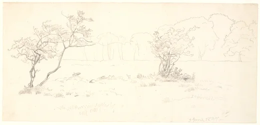 From the Hermitage Plain in Dyrehaven