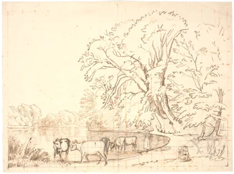 Cows by a Forest Lake