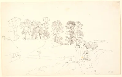 Landscape with Trees
