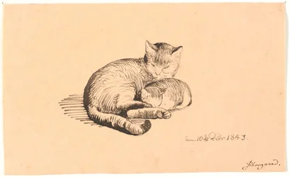 Lying Cat with Her Kitten
