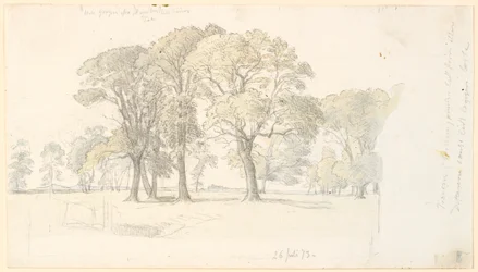 Scene from Jægersborg Deer Park with freestanding trees