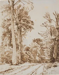 Forest Road. Iselinge