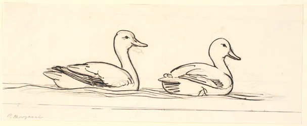 Two Ducks. Decorative Draft.