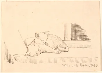 Two Sleeping Cats
