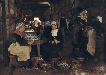 A Sardine Curing and Packing Establishment in Concarneau