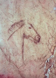 Head of a Horse, from the Cueva de la Pena de Candamo San Roman