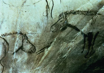 Horses, rock paintings in the Black Room, Magdalenian