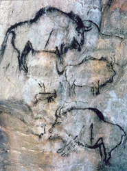 Injured Bison, Magdalenian