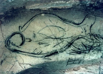 Marine Figure, Palaeolithic Period
